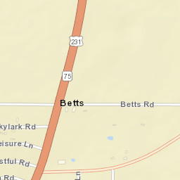 Betts Florida Street Map