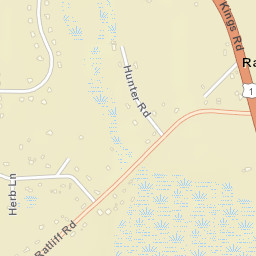 Ratliff Florida Street Map