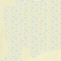 Reams Florida Street Map