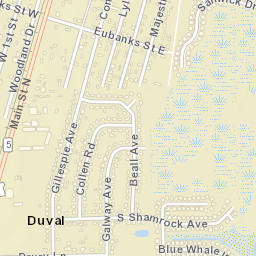Duval Florida Street Map