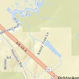 Ochlockonee Florida Street Map