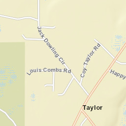Taylor Florida Street Map