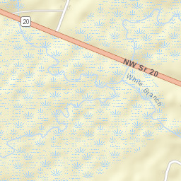 Highway 20, Bristol, FL 32321, USA Street Map