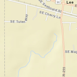 Lee Florida Street Map