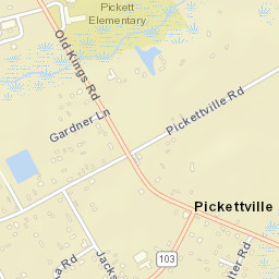 Pickettville Florida Street Map