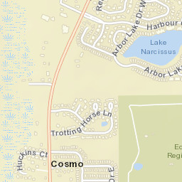 Cosmo Florida Street Map