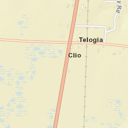 Telogia Florida Street Map
