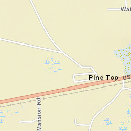 Pine Top Florida Street Map