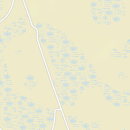 Covington Florida Street Map