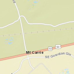 Mount Carrie Florida Street Map