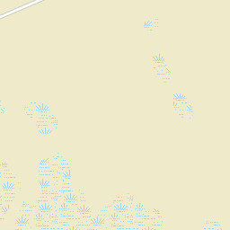 Buckhorn Florida Street Map