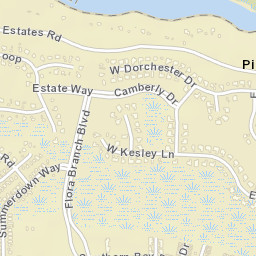 Pine Bluff Florida Street Map