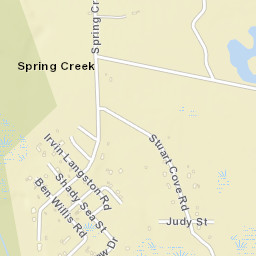 Spring Creek Florida Street Map