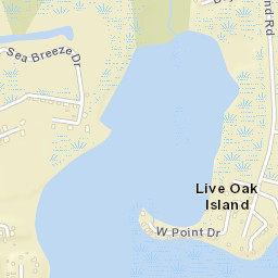 Live Oak Island Florida Street Map