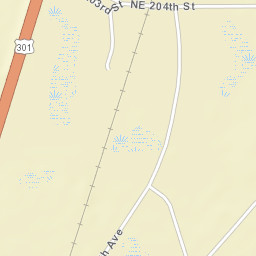 Saxton Florida Street Map