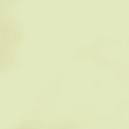 Pithoragarh Street Map