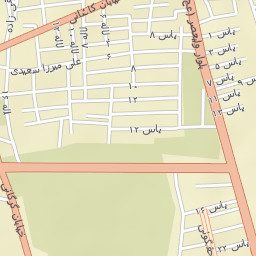Bardsir Street Map
