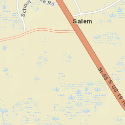 Salem Florida Street Map