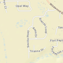 Fort Peyton Florida Street Map