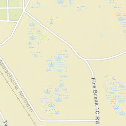 Niles Florida Street Map