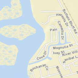 Buffalo Bluff Florida Street Map