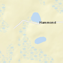 Hammond Florida Street Map