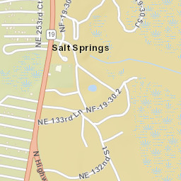 Salt Springs Florida Street Map