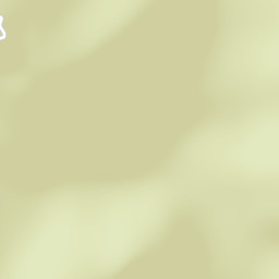 Champawat Street Map