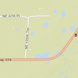 Bruceville Florida Street Map