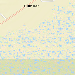 Sumner Florida Street Map