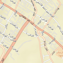Neyriz Street Map