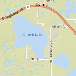 Lynne Florida Street Map