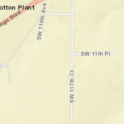 Cotton Plant Florida Street Map