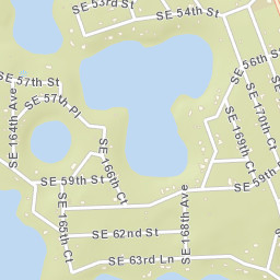 Woods and Lakes Florida Street Map