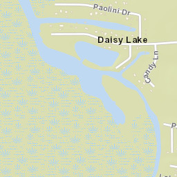 Daisy Lake Florida Street Map