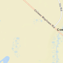 Cow Creek Florida Street Map