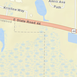 Bamboo Florida Street Map
