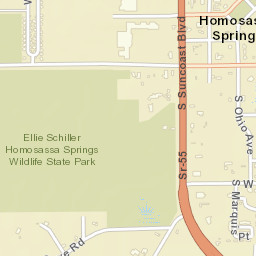 Homosassa Springs Florida Street Map