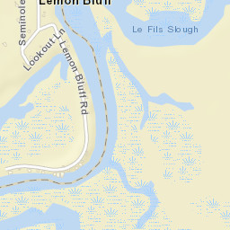 Lemon Bluff Florida Street Map