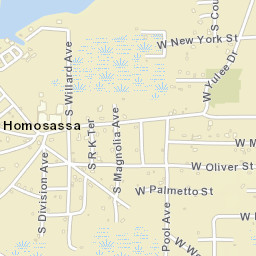 Homosassa Florida Street Map