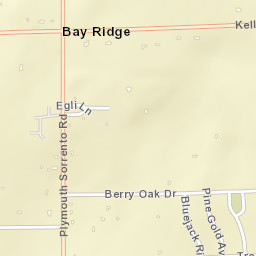 Bay Ridge Florida Street Map
