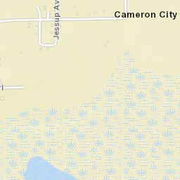 Cameron City Florida Street Map