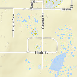 Yalaha Florida Street Map