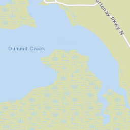 Dummit Grove Florida Street Map