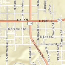 108 North Courthouse Square, Goliad, TX 77963, USA Street Map