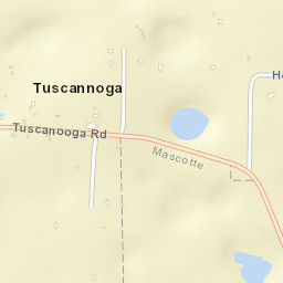 Tuscannoga Florida Street Map