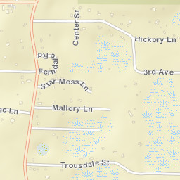 Ferndale Florida Street Map