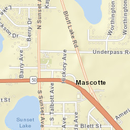 Mascotte Florida Street Map
