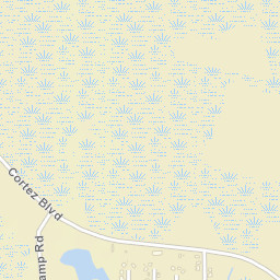 Palm Grove Colony Florida Street Map