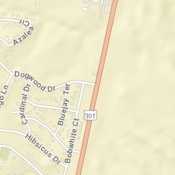 Ridge Manor Florida Street Map